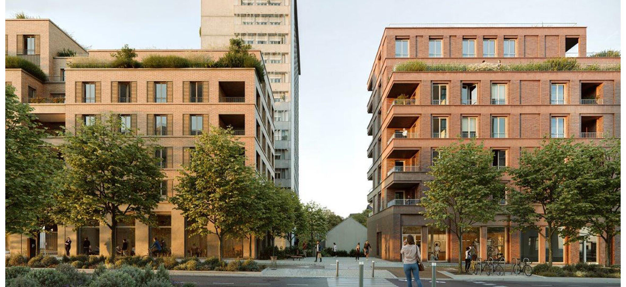 Programme éligible au dispositif LLI Impérial à Toulouse - LLI Conseil